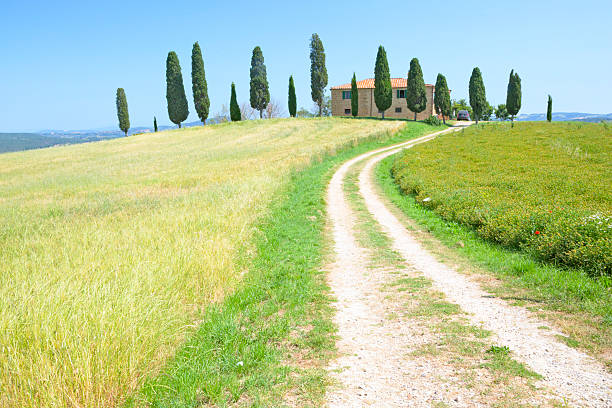 istock Farm & cypresses in Tuscany 178852262