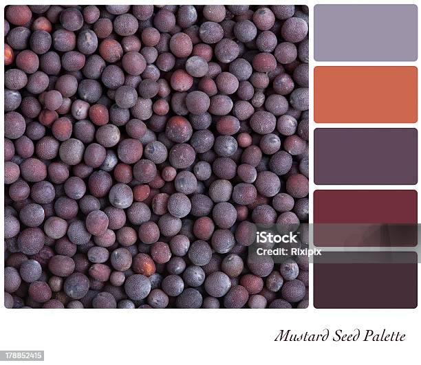 Mustard Seed Palette Stock Photo - Download Image Now - Artist's Palette, Color Image, Backgrounds