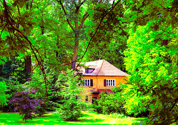 Cottage hidden in the woods