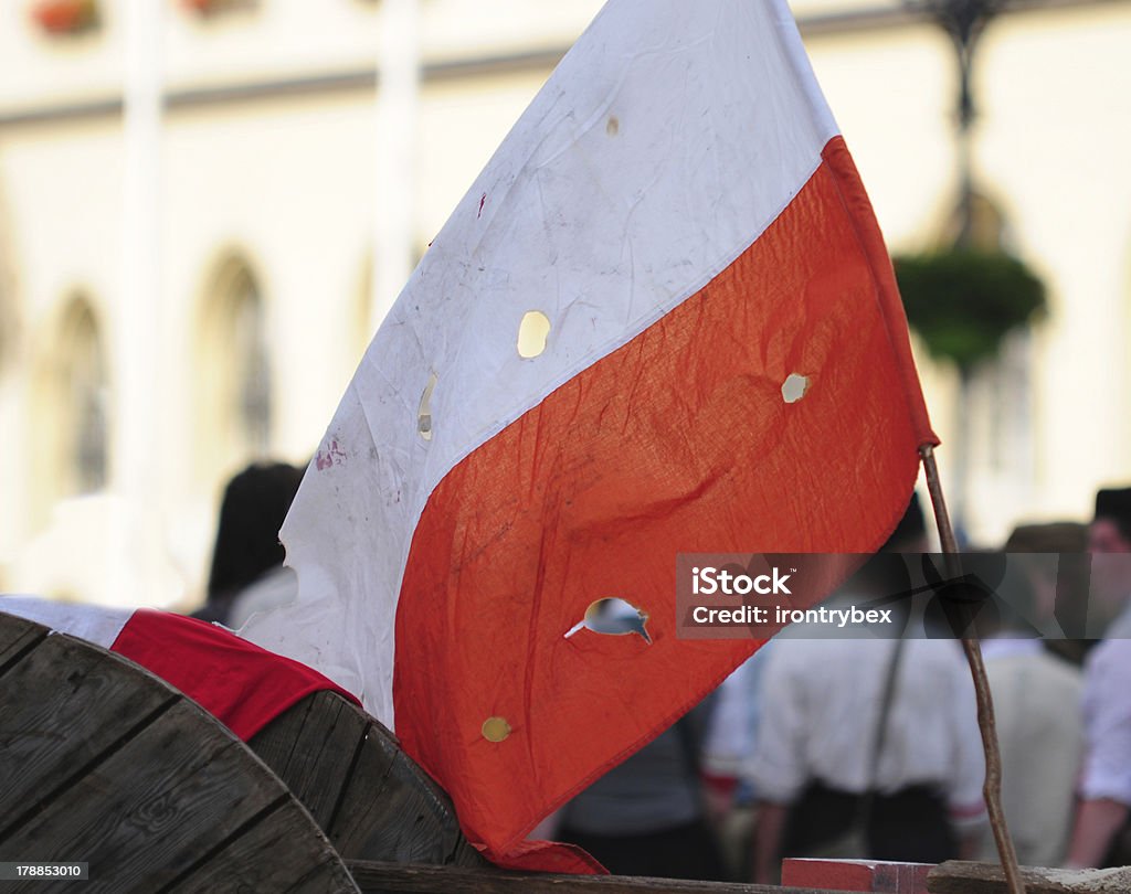 Drapeau polonais avec bullet holes - Photo de Anniversaire d'un évènement libre de droits