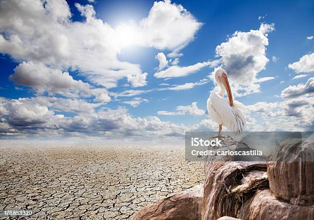 Ecosystem Destructiondry Lake Stock Photo - Download Image Now - Africa, Animal, Animal Wildlife