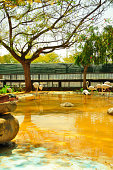 flamingos-im-see.jpg?b=1&s=170x170&k=20&
