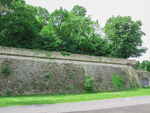 istock Citadel of Mainz 178854026