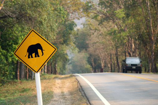 Warning sign about wild elephants roaming in Kanchanaburi Province (Erawan national park) Thailand