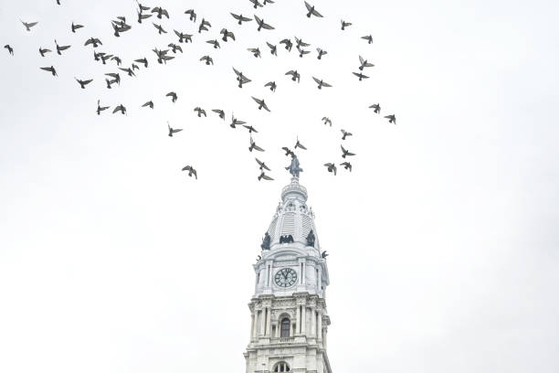 istock City Hall, Philadelphia city. 1788547146
