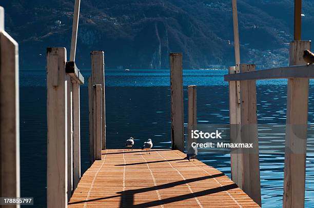 Photo libre de droit de Mouettes Sur La Jetée banque d'images et plus d'images libres de droit de Alpes européennes - Alpes européennes, Alpes suisses, Beauté de la nature