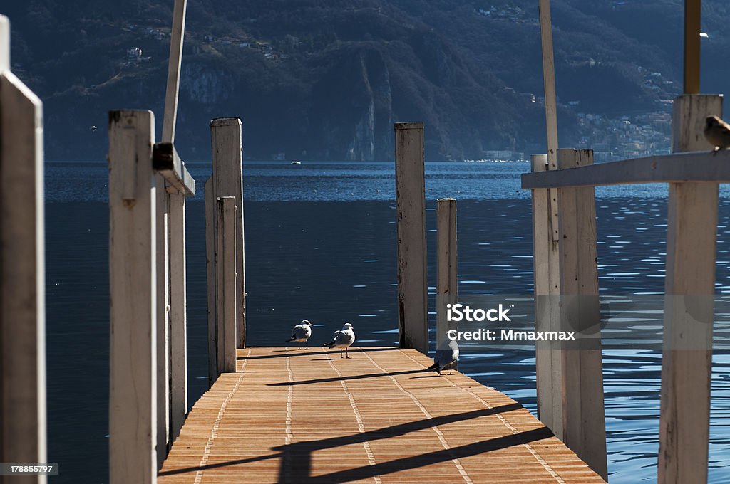 Gaivotas no pier - Foto de stock de Alpes europeus royalty-free