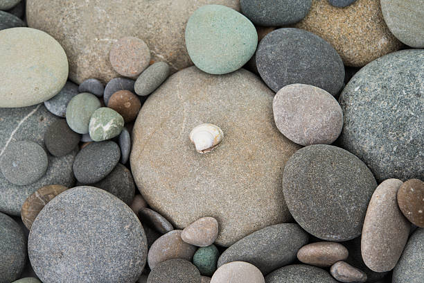 istock closeup of pebbles background 178855926