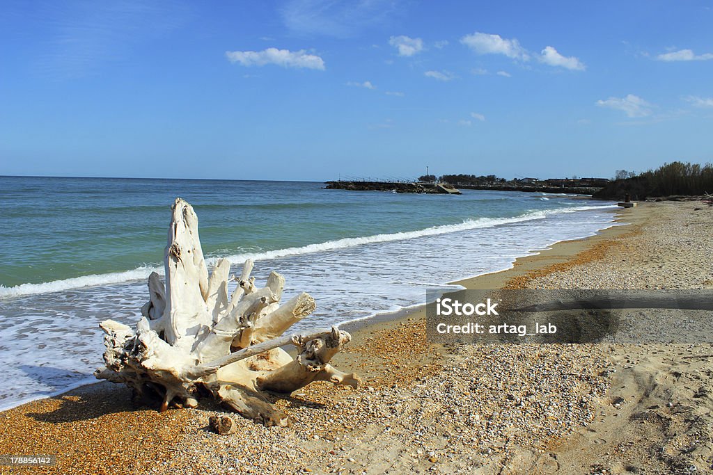 Perspectiva seashore - Royalty-free Areia Foto de stock