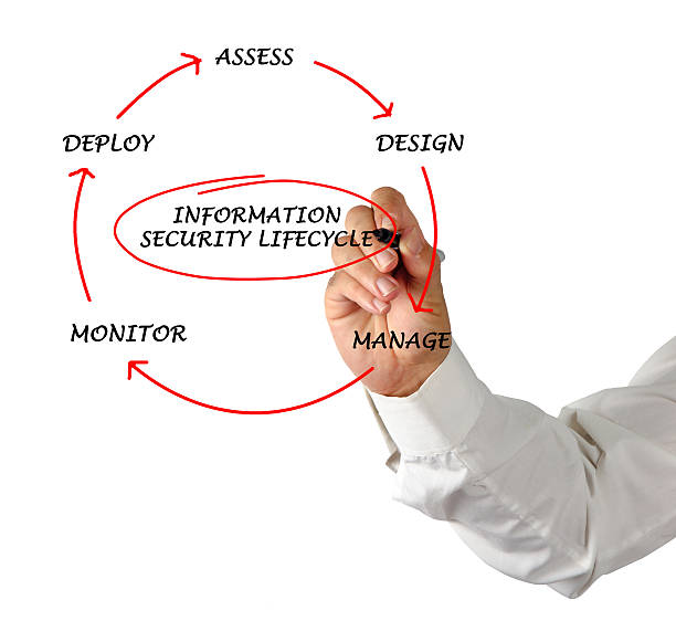 istock Diagram of information security lifecycle 178856239