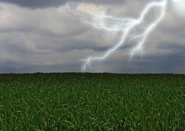 istock Lightning across the countryside field. 178857322