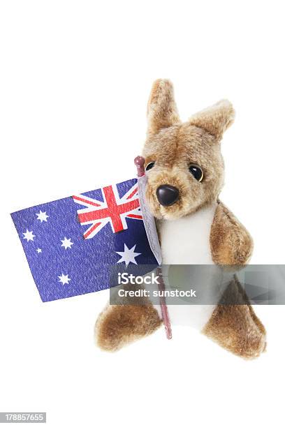 Canguro Morbido Peluche - Fotografie stock e altre immagini di Animale da compagnia - Animale da compagnia, Australia, Bandiera