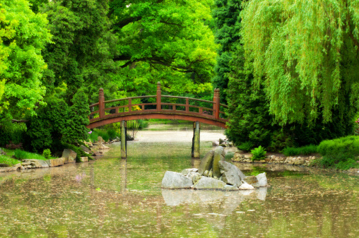 Bridge in japanese garden