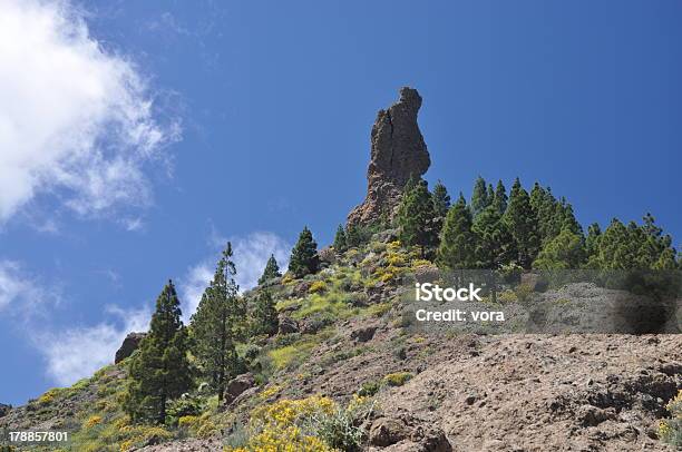 El Fraile Gran Canaria - Fotografie stock e altre immagini di Ambientazione esterna - Ambientazione esterna, Aster, Bizzarro