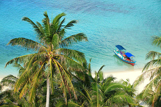 istock Scenic of a tropical paradise beach 178858187