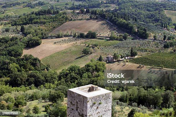 タスカニー - イタリアのストックフォトや画像を多数ご用意 - イタリア, イトスギ, オリーブの木