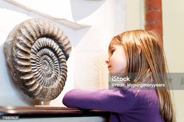 Girl In A Museum Studying A Fossil Stock Photo - Download Image Now - Museum, Child, Student