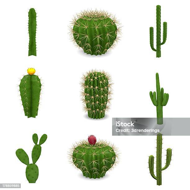 Cactuses セット - アメリカ合衆国のストックフォトや画像を多数ご用意 - アメリカ合衆国, ウェスタン, コレクション