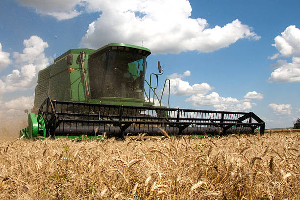 istock Combine harvester working on a wheat field 178860283