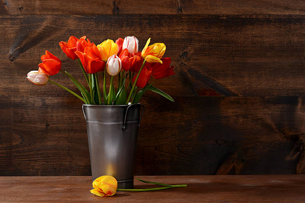 silver pail of tulips on wood