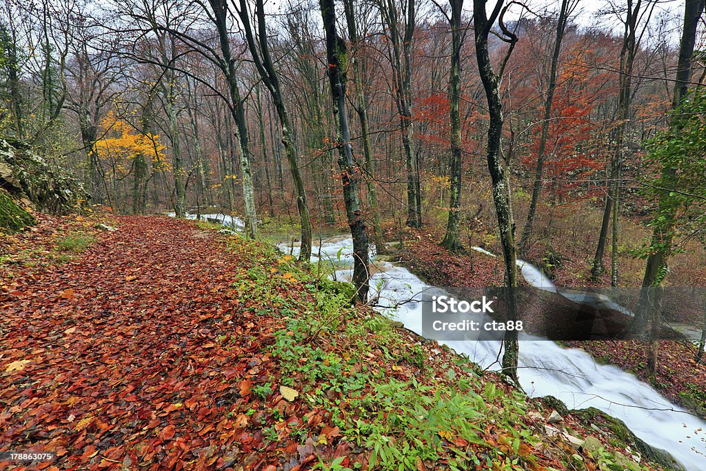 滝と山の景観を秋 - かすみのロイヤリティフリーストックフォト