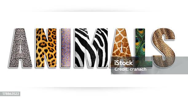 Animals Word Letters With Animal Fur Texture Stock Photo - Download Image  Now - Alphabet, Snake, Textured - iStock