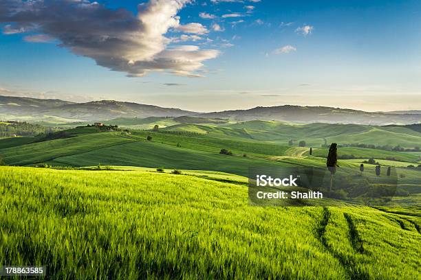 Foto de Green Valley Ao Pôrdosol Na Toscana e mais fotos de stock de Agricultura - Agricultura, Beleza natural - Natureza, Cabana - Casa