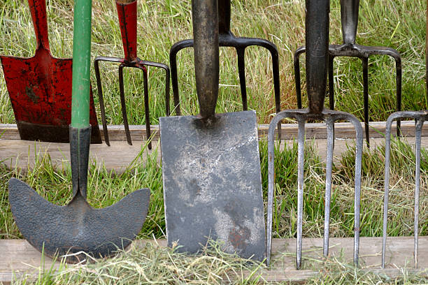 istock Vintage forks and spades 178864398
