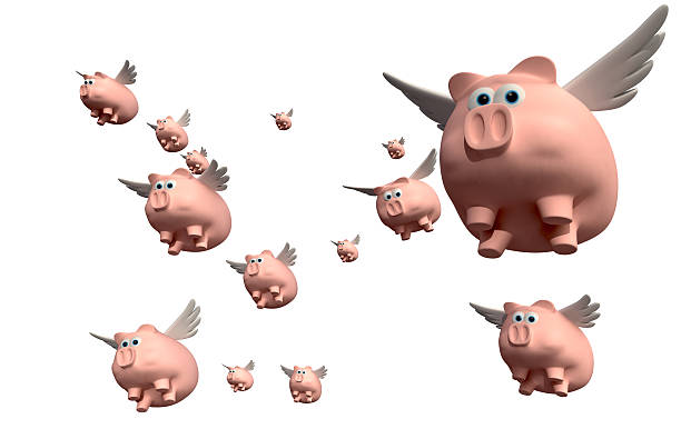 돼지가 나는 그룹 - when pigs fly 뉴스 사진 이미지