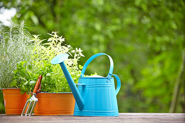 istock concept of gardening and hobby 178864797