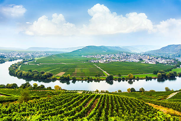 istock famous Moselle Sinuosity with vineyards 178865984