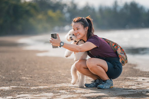 Asian Chinese woman selfie with toy poodle at beach in weekend morning