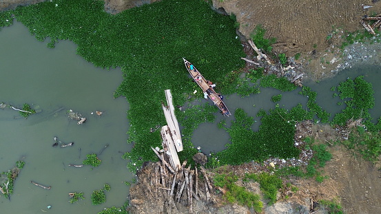 aerial view of a boat trying to get out of the siege of water hyacinth plants covering the river