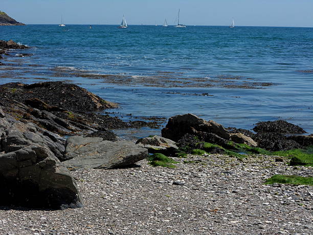 istock Coombe Haven Beach in Fowey 178866711
