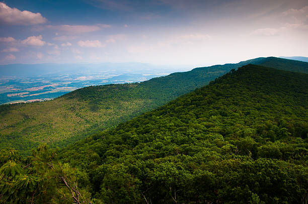 View of the Appalachian Mountains from Duncan Knob, Virginia View of the Appalachian Mountains from Duncan Knob, George Washington National Forest, Virginia. george washington national forest stock pictures, royalty-free photos & images