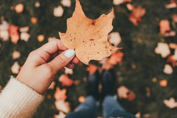 istock A girl holding fall leaf with her fingers no face 1788671200