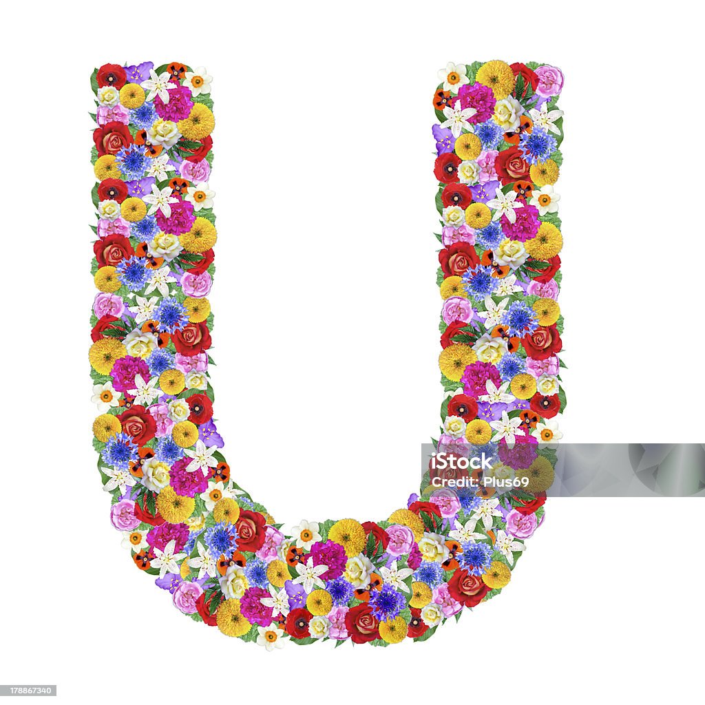 letter U of the alphabet in different flowers Alphabet Stock Photo