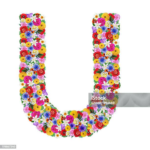 Letter U Of The Alphabet In Different Flowers Stock Photo - Download Image Now - Alphabet, Beauty In Nature, Blossom