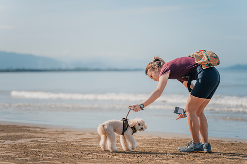 Asian Chinese female pet owner dog walking at the beach in weekend morning