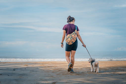 Asian Chinese female pet owner dog walking at the beach in weekend morning