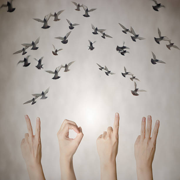 istock hand with 2013 number flying doves new year background 178867919