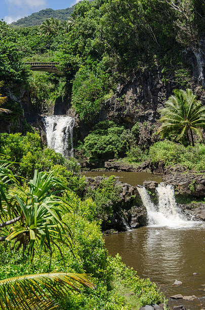 maui - waterfall maui hana coast hawaii islands stock-fotos und bilder