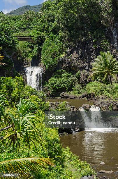 Maui Foto de stock y más banco de imágenes de Hana - Maui - Hana - Maui, Islas de Hawái, Costa de Hana