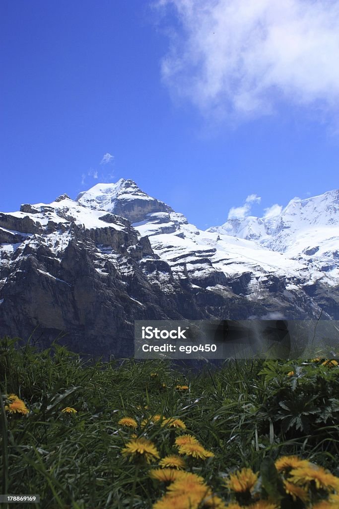 Швейцария - Стоковые фото Gimmelwald роялти-фри