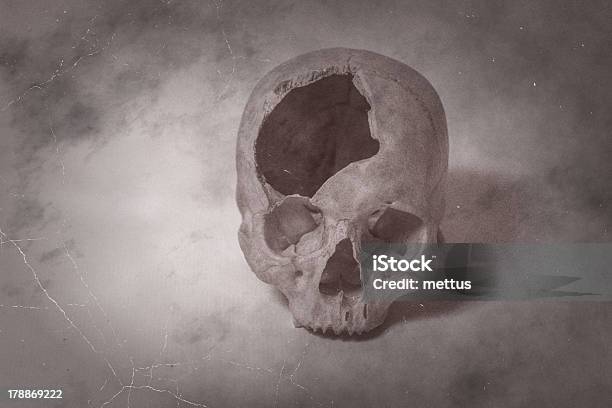 サイドの古い写真人の頭蓋骨 - ヒトのアゴの骨のストックフォトや画像を多数ご用意 - ヒトのアゴの骨, フィルタ化, ヘビーメタル