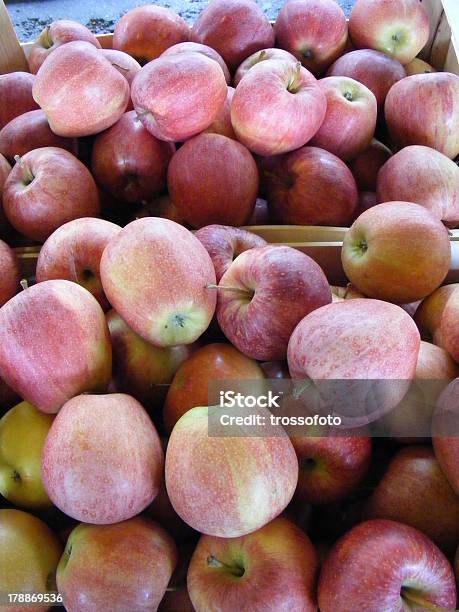 Apple - Fotografias de stock e mais imagens de Comida e Bebida - Comida e Bebida, Cor verde, Fotografia - Imagem