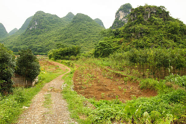 South china limestone landscape