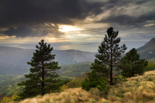 Beautiful sunset view from Velebit national park in Croatia with some trees in stormy weather