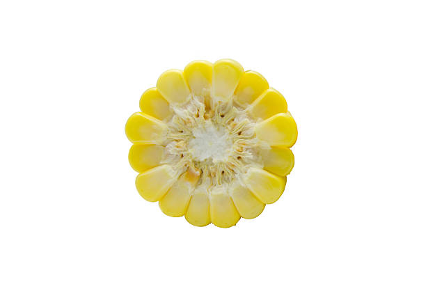istock Grains of Ripe Corn 178869718