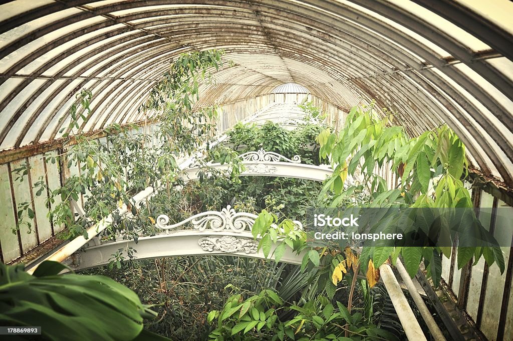 Gewächshaus canopy - Lizenzfrei Altertümlich Stock-Foto
